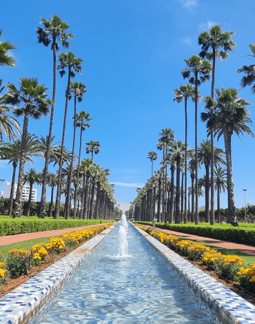 website-atelier-vert-projet-jardin-c website-atelier-vert-projet-jardin-c